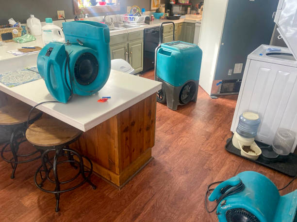 Best Flooded house restoration  in Rockport, TX