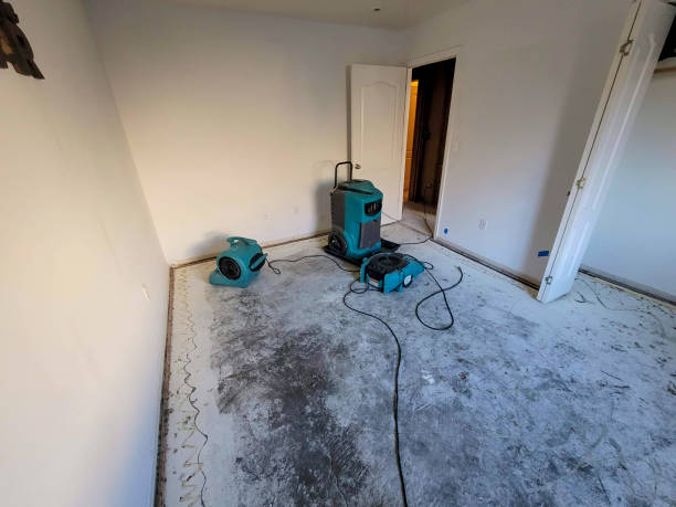 Best Water damage restoration process  in Rockport, TX