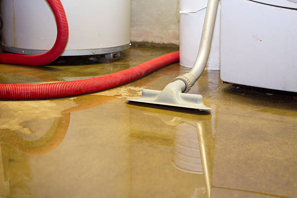 Best Basement water damage restoration  in Rockport, TX