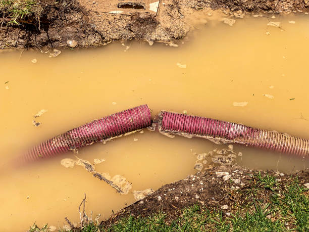Reliable Rockport, TX Water damage restoration Solutions